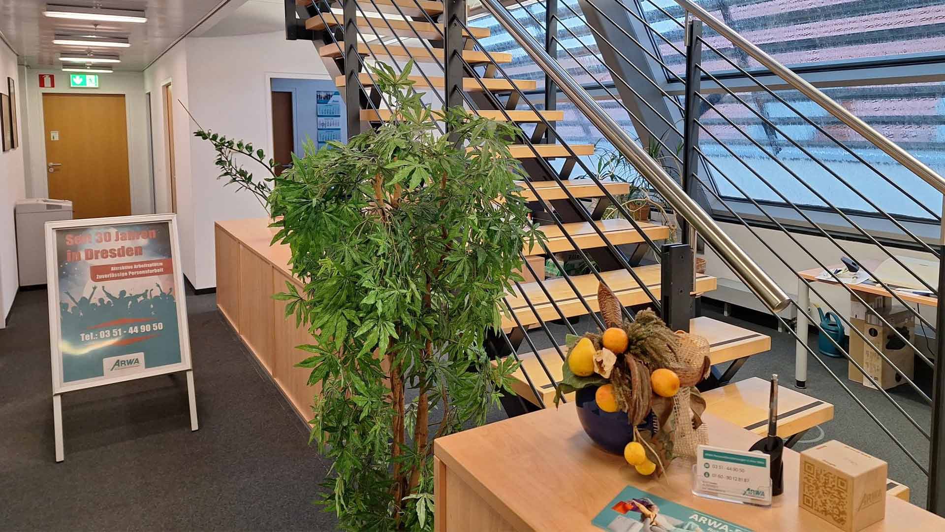 Dresden &mdash; Insights 3